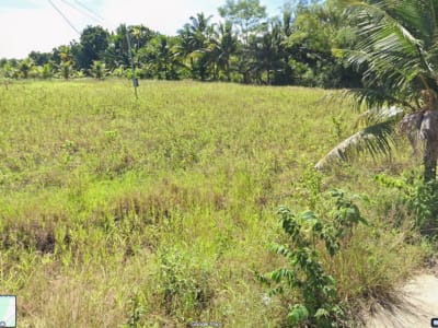 Clean land title in cansayahon