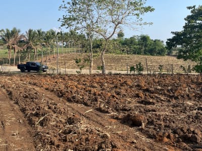 2.590hectares farmlot