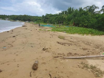 Beachlot
