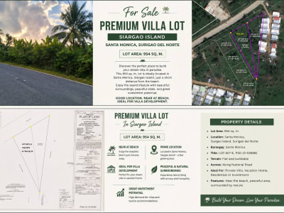 Lot For Sale 954 sqm. Siargao Island