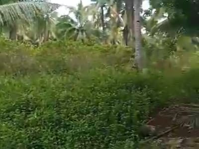 Farm land