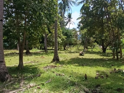 Overlooking sea and mountain lot 6000sqm