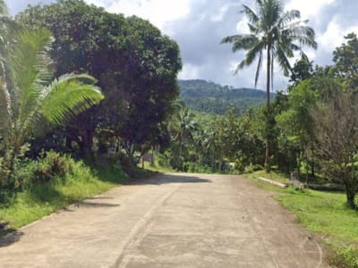 Overlooking 6358sqm