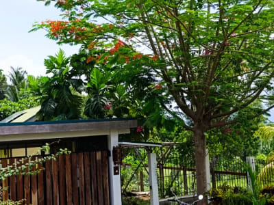 2 small houses on 600sqm lot inside city
