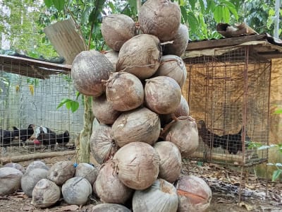 Raw lots ( Title Ready To Transfer Individually)