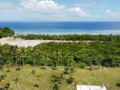 MANGROVE ESTATE VILLA & RESORT