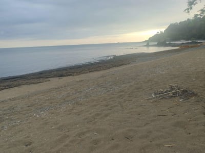 2.2 hectares beach lot for sale in Guimaras