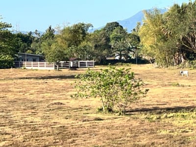 Titled 4,381 sqm Agricultural Lot with Road Frontage — Barangay Sabang, Pagsanjan, Laguna