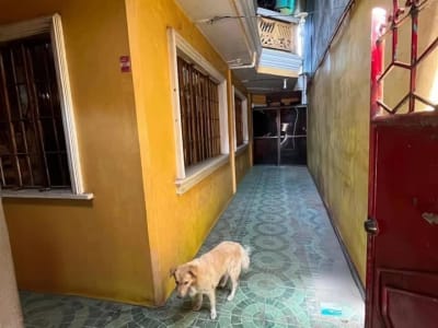 2-STOREY HOUSE FOR RENT