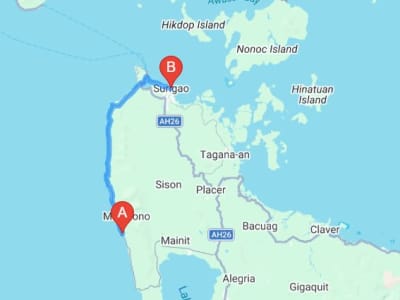 🏝️ FOR SALE: Installment - 5.5 HECTARE COCO FARM & BEACHFRONT PROPERTY - Surigao del Norte,