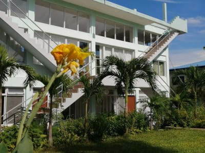 Bbc Garden House, Boracay    3 Apartment sin one cubistic styled house on 1375 sqm land in Boracay