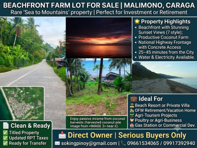 BEACHFRONT LOT FOR SALE – CASH OR INSTALLMENT!