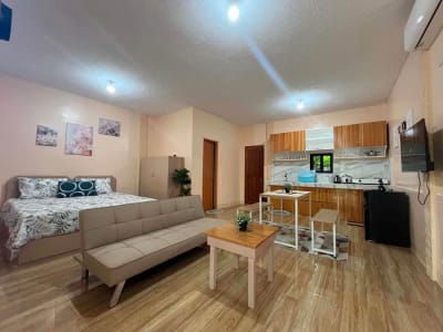 Studio 1 Bath - Apartment