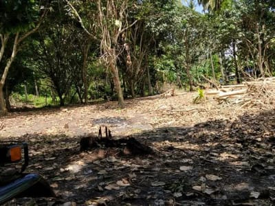 1000 sqm lot at Babak ,Samal