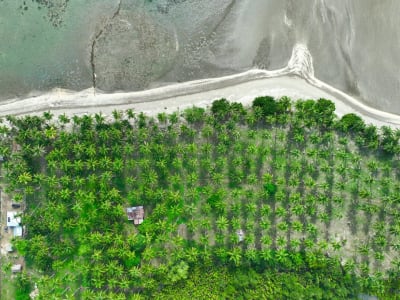 Beach Front Property For Sale in Quezon, Palawan Near Puerto Princesa-PalmShoreGold-Lot1-726sqm