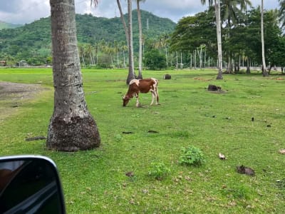Beach Lot with Farmland