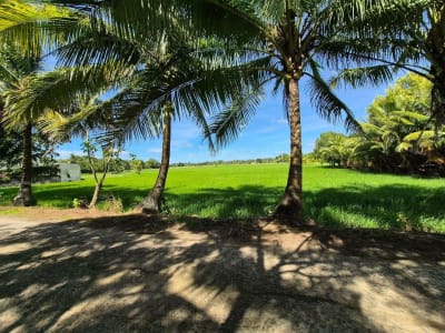 Residential Lot Classification with Farm Lot
