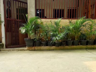 HOUSE FOR RENT – ₱5,000/MONTH 🏠 📅 Available September 15, 2026