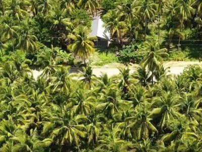 Siargao land