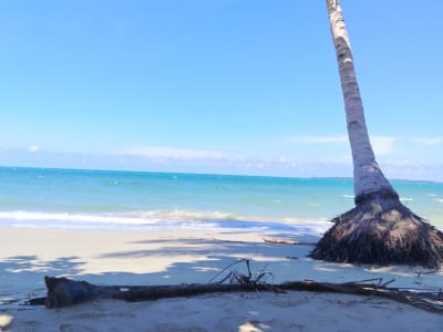 2  native close cottages and 3 open air cottages with sea view
