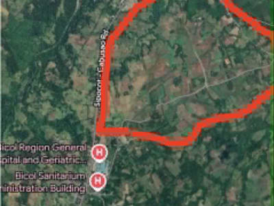 29.65-Hectare Prime Land for Sale – Cabusao, Camarines Sur | Main Road Frontage