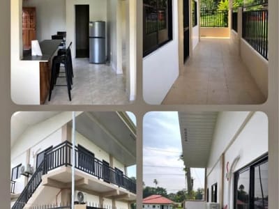 Brand-new apartment for rent