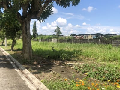 PRIME 150 SQM VACANT LOT – SAVANNAH TRAILS A, OTON, ILOILO