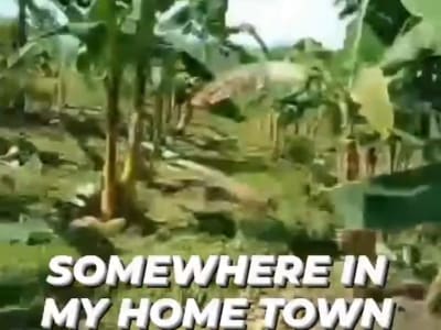 RUSH SALE — 5,799 SQM PROPERTY IN ANOLING, CANDIJAY, BOHOL