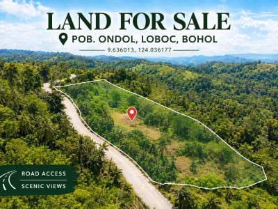 Land for Sale – Loboc, Bohol, Philippines