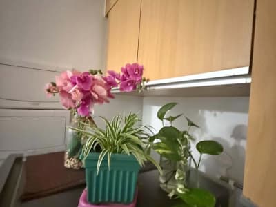 2BR CONDO NORTHPOINT
