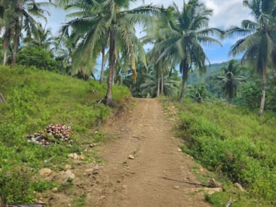8-Hectare Vacant Lot for Sale – Near Villa Aurora, Quezon