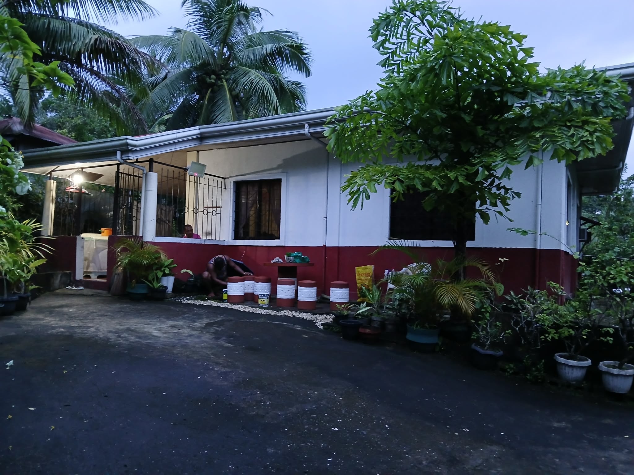 Three parcels of agricultural land for sale situated in Barangay Limon Norte Municipality of Looc Pr