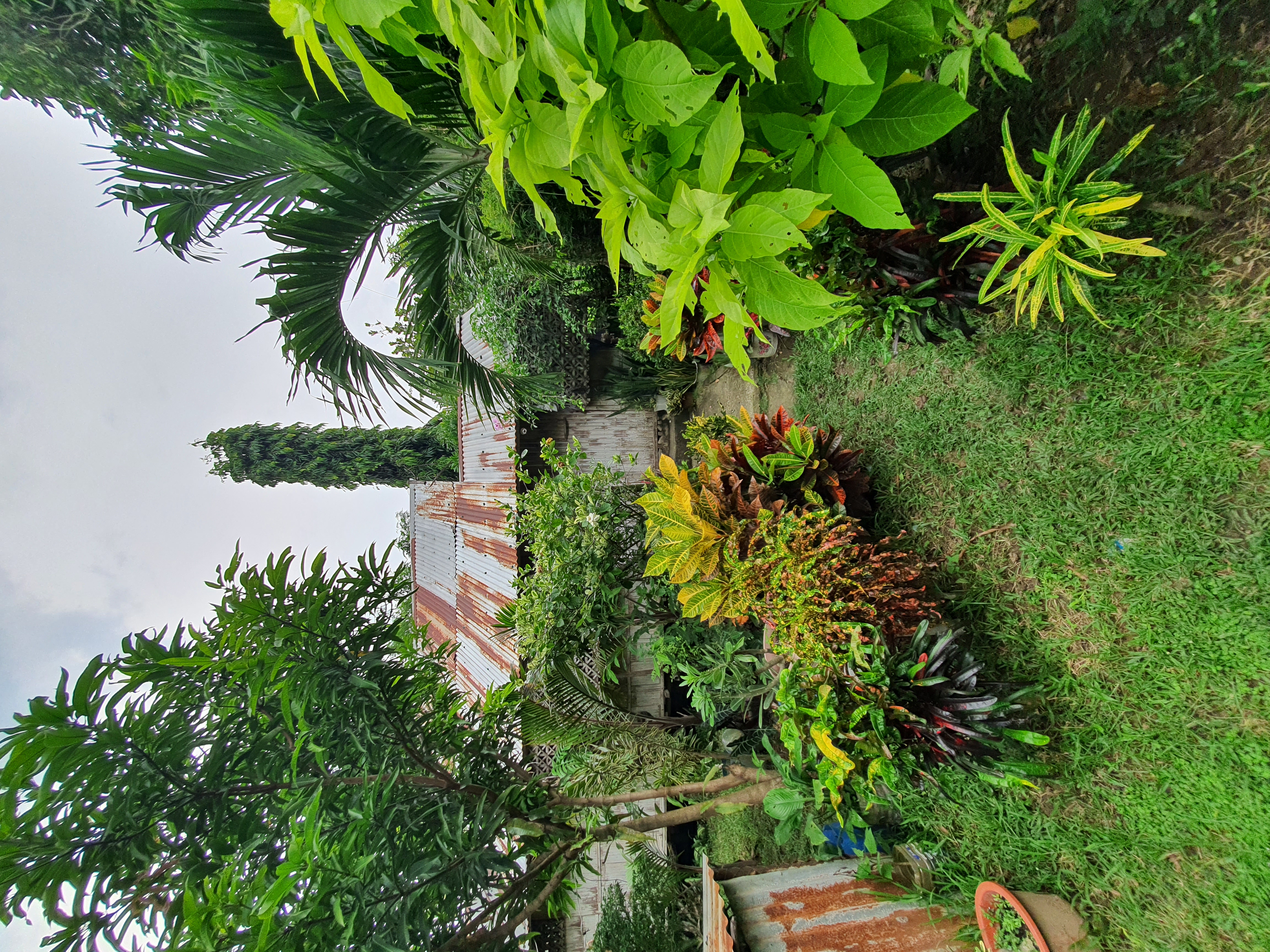 Lot For Sale