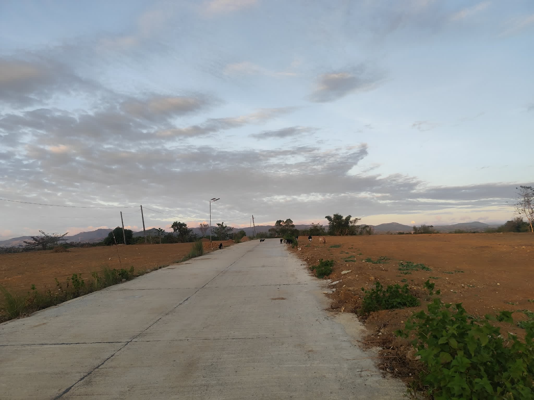 A Mountain View Farm Lot In Bulacan