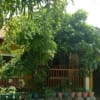 House For Rent - rental in Bacolod - photo 7