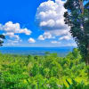 Valencia BAMBOO HOUSE FOR RENT - rental in Dumaguete - photo 2