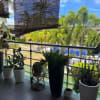 One-bedroom apartment for rent - rental in Panglao - photo 4