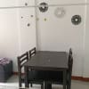 Apartment For Rent Puerto Princesa Palawan - rental in Puerto Princesa - photo 4