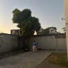 House for rent - rental in Iloilo City - photo 6