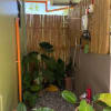 🏡 Modern 1BR House for Rent in Dauis, Bohol - rental in Dauis - photo 5