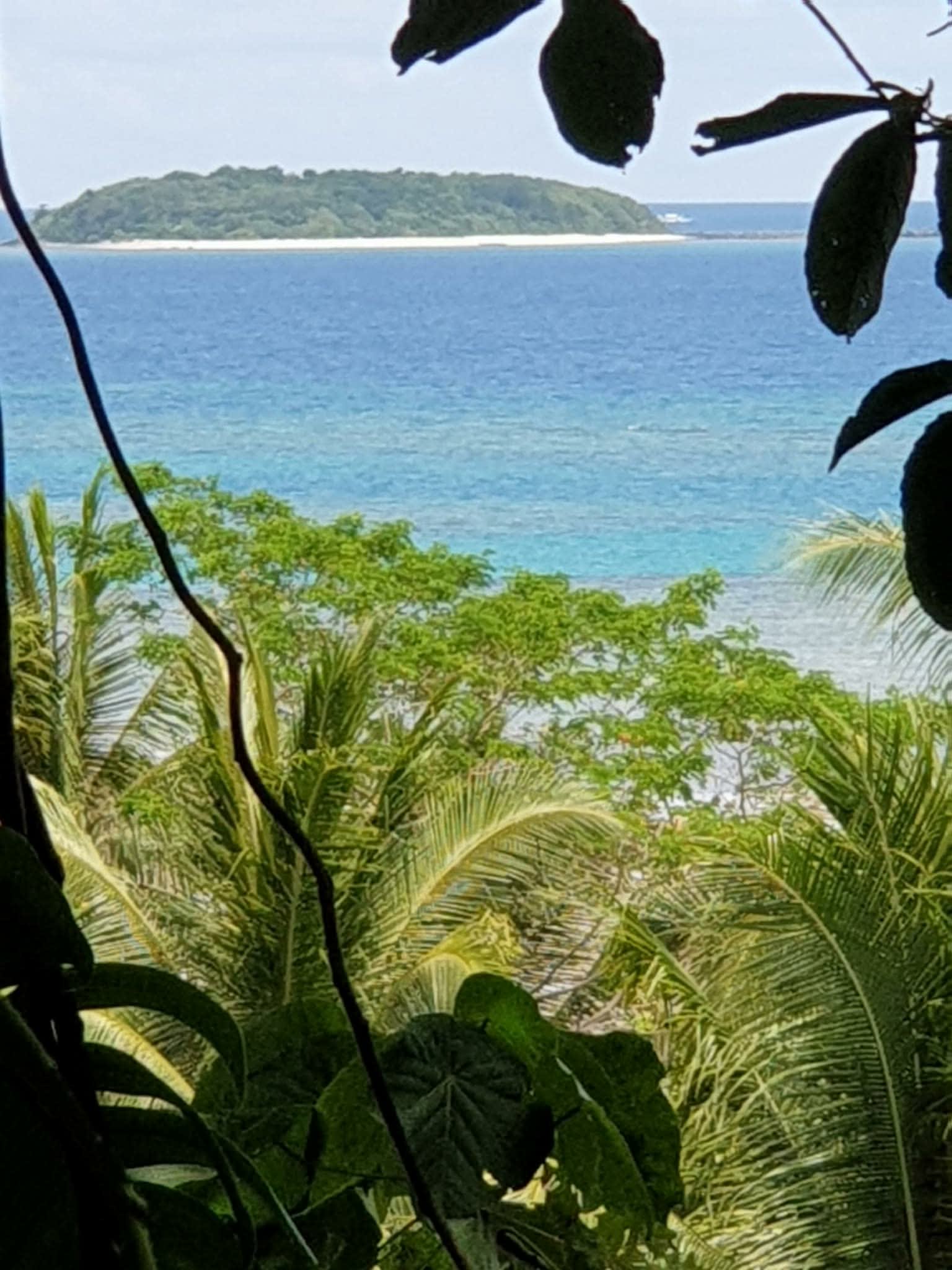 ‼️ FOR SALE: 2.9 Hectares Agricultural Beachfront Lot