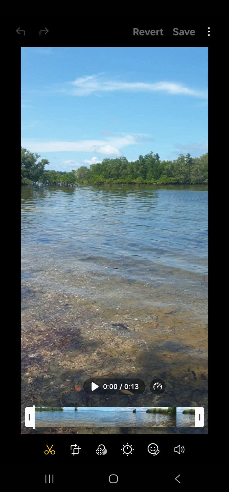 ‼️FOR SALE: 18.8 Hectares Agricultural Lot with Coastal Frontage 🌿
