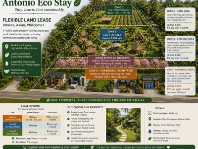 Eco Living & Busines - Flexible land lease – price shown is indicative. Final rate depends on size and use. - rental in Kalibo