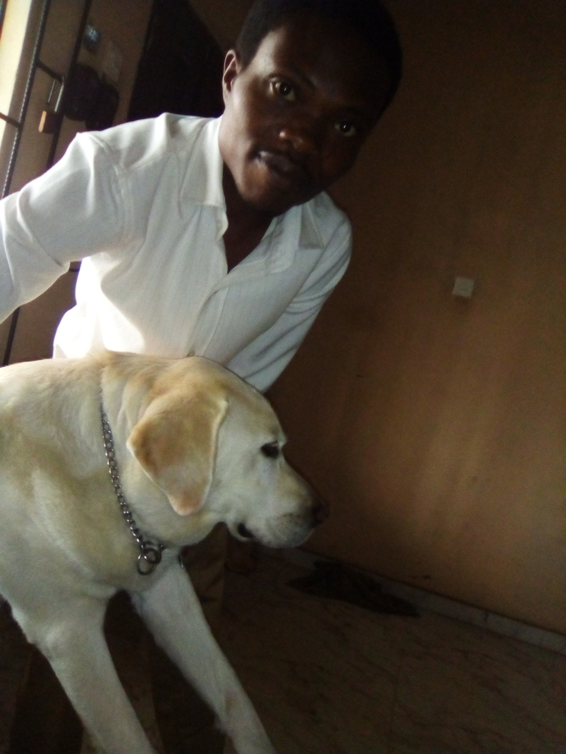 Dog