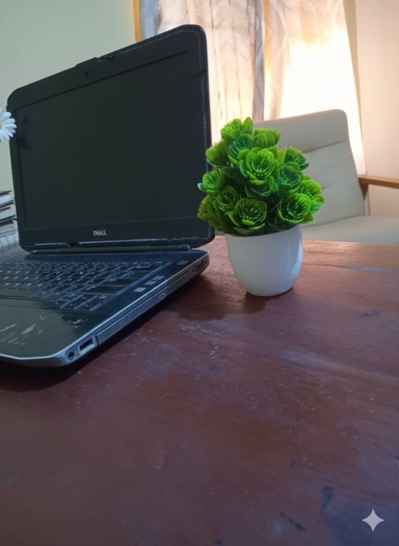 Feux succulent flower 2