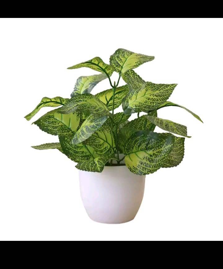 buy beautiful Name: Artificial Bonsai Foliage Plant  flowers