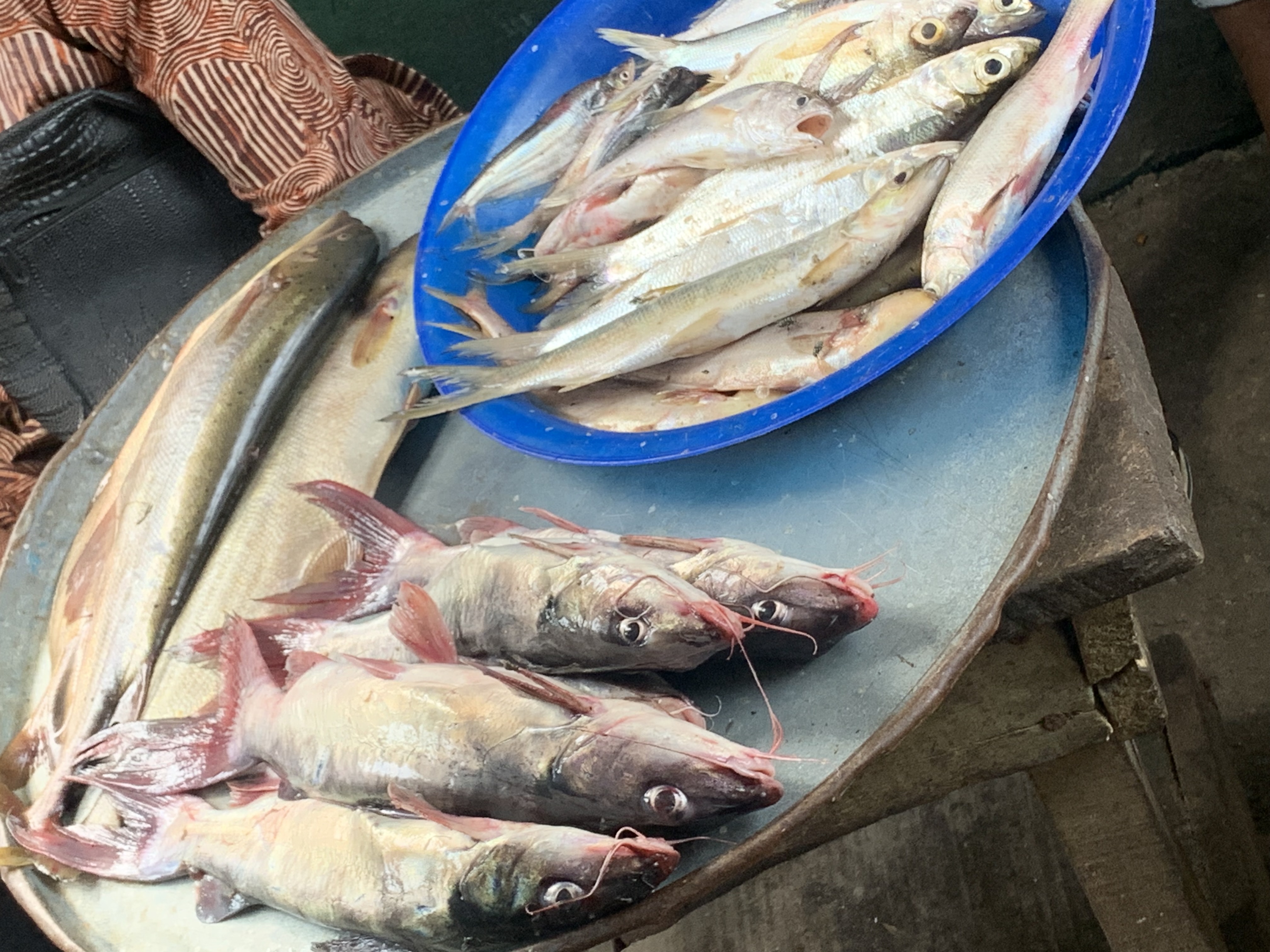 Julietanny's picture