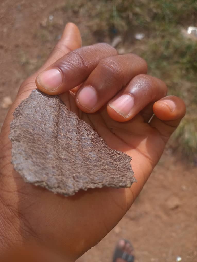 Premium Beniseed Cake (Sesame Seed Meal) for Livestock Feed for sales