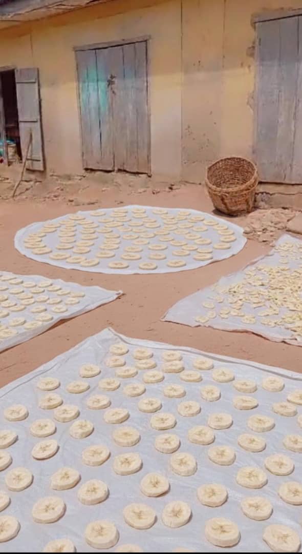 Premium Unripe Plantain Flour (Elubo Ogede) | Ibadan Production, Nationwide Delivery for sales