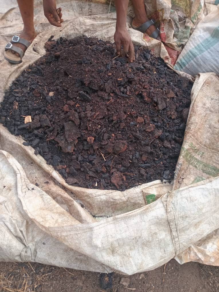 Blood Meal (High Protein & Nitrogen) – Just ₦400/kg! 2